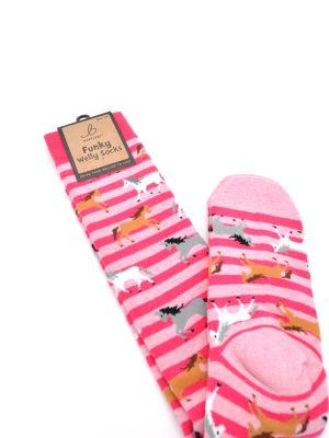 Bartleby Ladies Funky Welly Socks Galloping Horse Pink