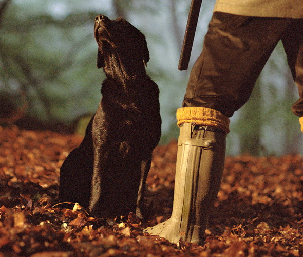 Wellies for Fieldsports